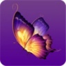 蝴蝶视频app安卓版
