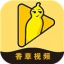 香草视频app黄板