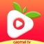 草莓app官方视频下载苹果版