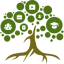 职业树 v1.0.1 安卓版