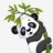 熊猫漫画免费韩漫 V1.0 安卓版