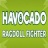 HaVocado V1.0 安卓版