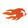 活力狮 V1.1.8 安卓版