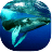 鲸鱼潜水模拟器 V1.0.1 安卓版