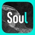 soul2022版 V1.0.1 安卓版