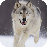 狼狗模拟器游戏 V1.0.8 安卓版