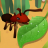 蚂蚁进化3D V1.3 安卓版