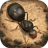 小小蚁国决战丛林游戏 v1.34.0 安卓版
