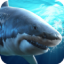 鲨鱼捕食游戏  V1.7.1