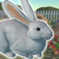兔子朋友  V1.3.0