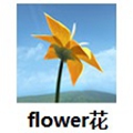 flower  V1.0.9